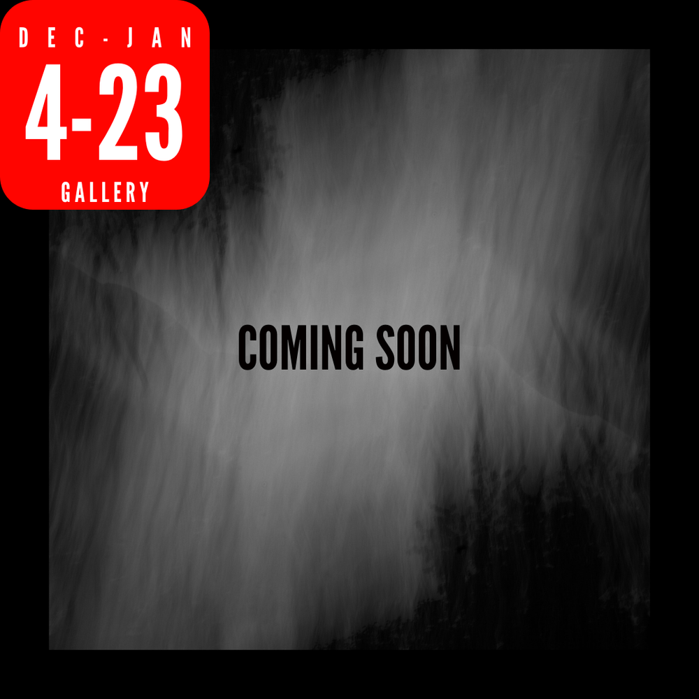 Art House Gallery | December 2026