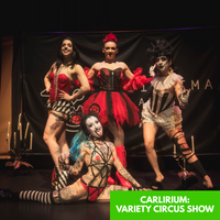 ART HOUSE PRESENTS
