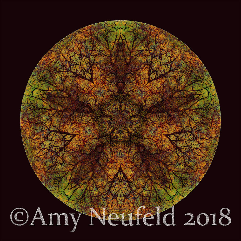 "Autumn Tree Mandala" by Amy Neufeld