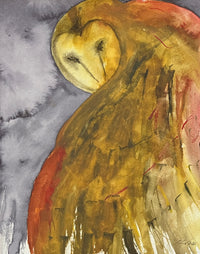 "Barn Owl" by Bill Rood