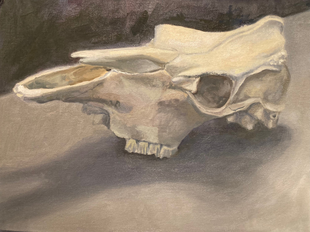 oil painting of an animal skull