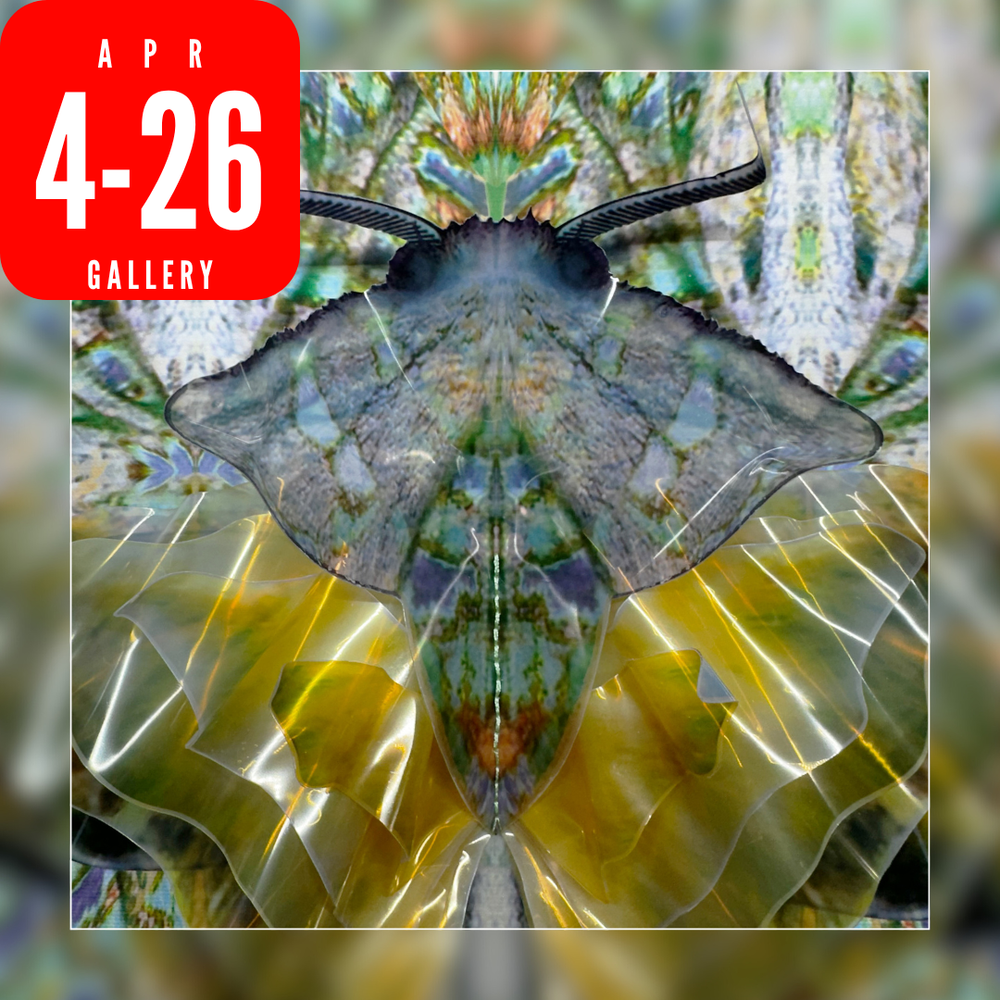 Expanded Metamorphosis | April 2026