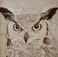 "Owl Portrait" by Ever Blanco Valverde