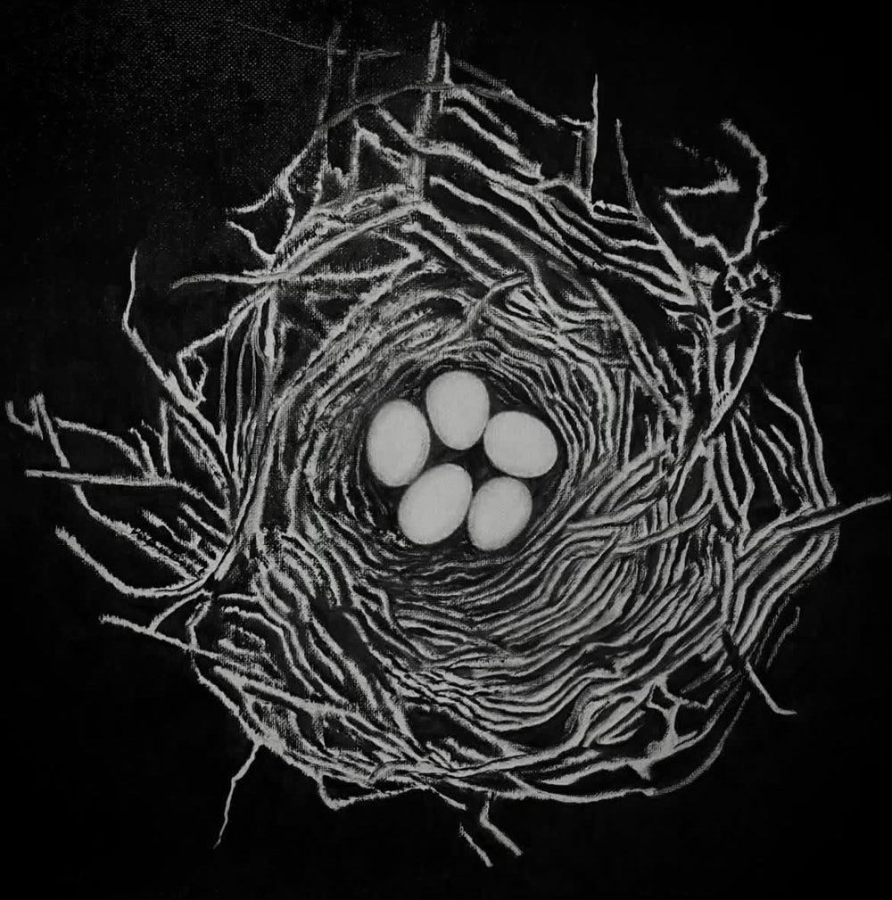 Study for Nest by Ever Blanco Valverde