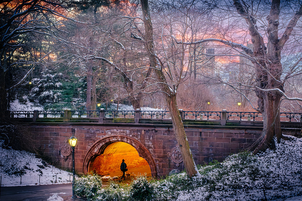 Passing Into The Wonderland (Trefoil Arch) by Jeffrey Hughes