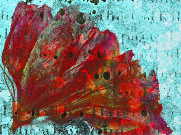 digitally altered  print of a red flower with a blue background and text on top