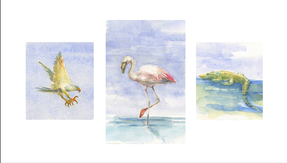 three panel image of a hawk, flamingo, and crocodile