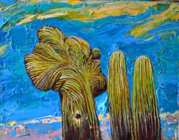 Cactus by Peter Delman