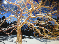 "Minnesota Tree" by Rachel Mifsud