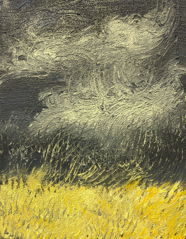 clouds and a windy field