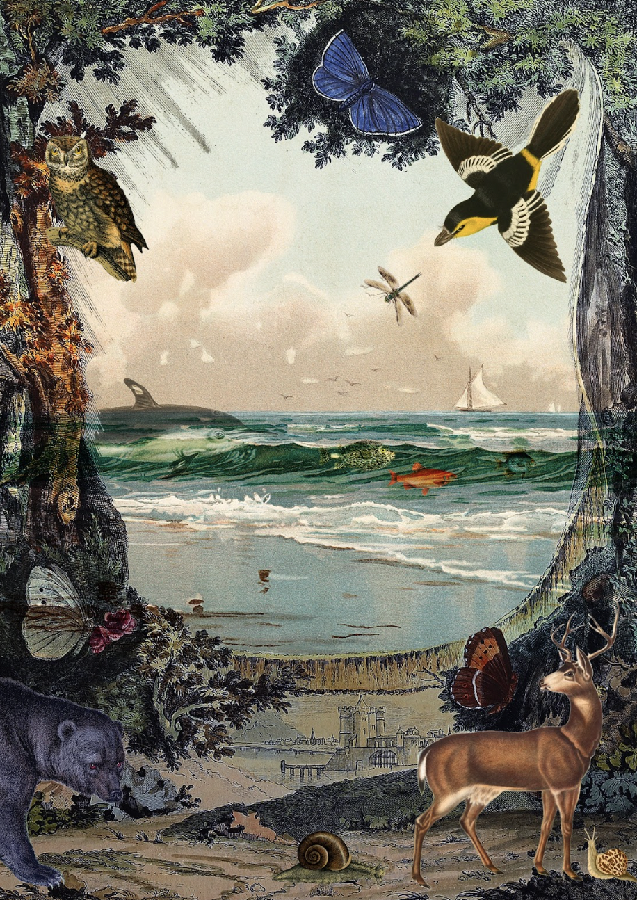 "The Realm of the Animals" by Gina Lucia