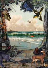 "The Realm of the Animals" by Gina Lucia