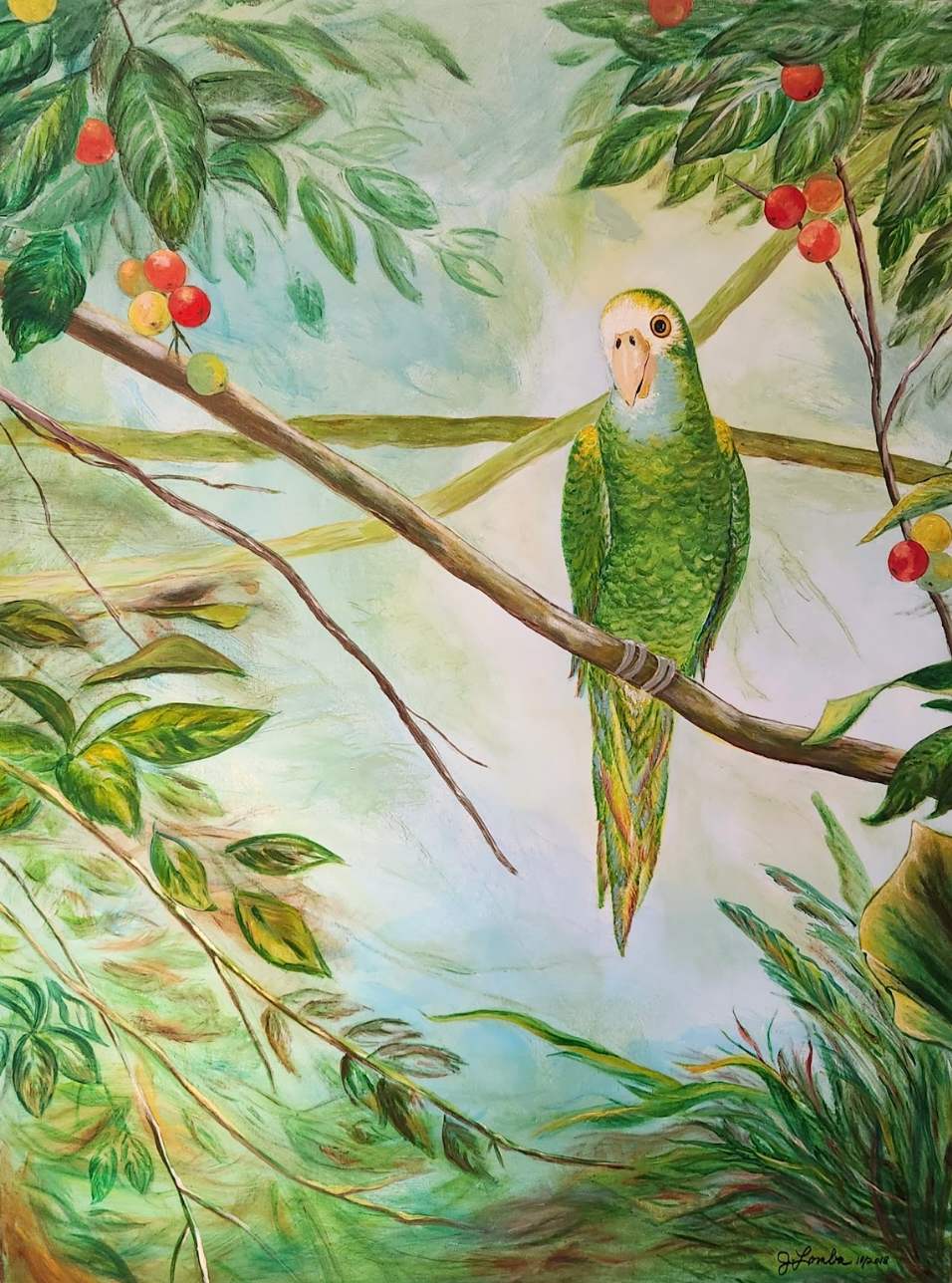 "Charlie Parrot" by Julia Lomba