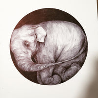 drawing of a sleeping elephant