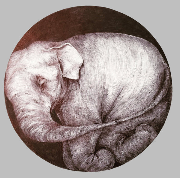 drawing of a sleeping elephant