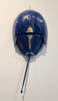 "Horseshoe Crab #34" by Warner Wada