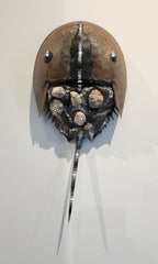 WarnerWada_HorseshoeCrab_37__8