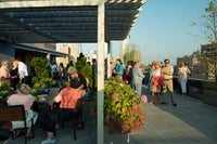 Cocktails Under the Stars - August 1, 2019
