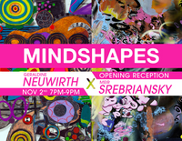 Mindshapes: Geraldine Neuwirth & Meir Srebriansky